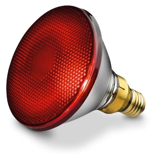 Beurer IL 21 Infrared Lamp freeshipping - Care Monitors UK I Discover The Best Range of Home Healthcare