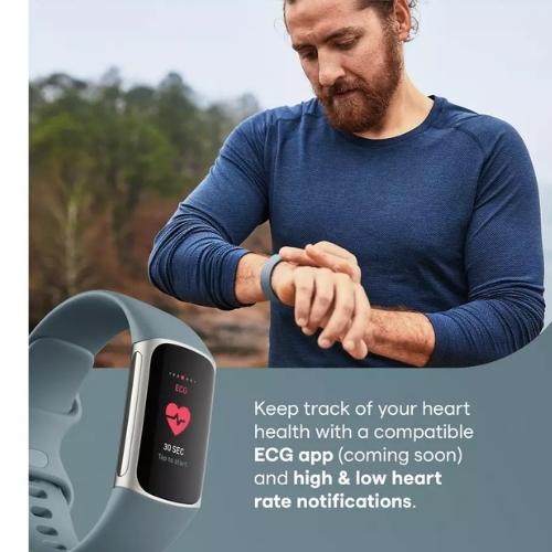 Fitbit Charge 5 Fitness & Health Tracker - Blue/Platinum Stainless Steel