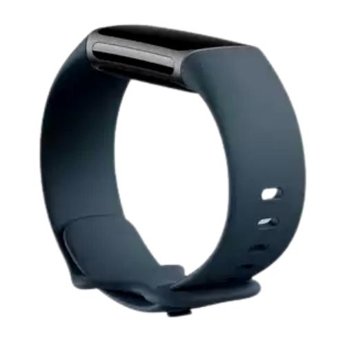 Fitbit Charge 5 Fitness & Health Tracker - Blue/Platinum Stainless Steel