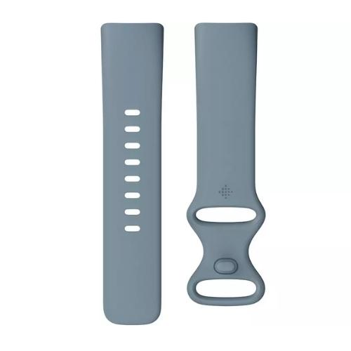 Fitbit Charge 5 Fitness & Health Tracker - Blue/Platinum Stainless Steel
