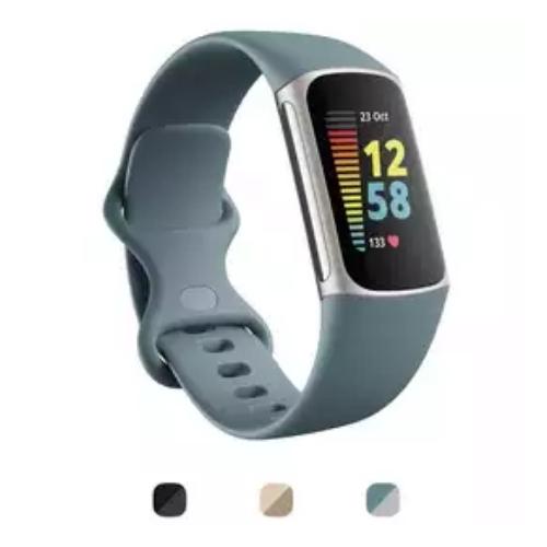 Fitbit Charge 5 Fitness & Health Tracker - Blue/Platinum Stainless Steel