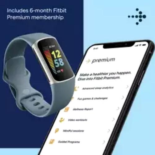 Fitbit Charge 5 Fitness & Health Tracker - Blue/Platinum Stainless Steel