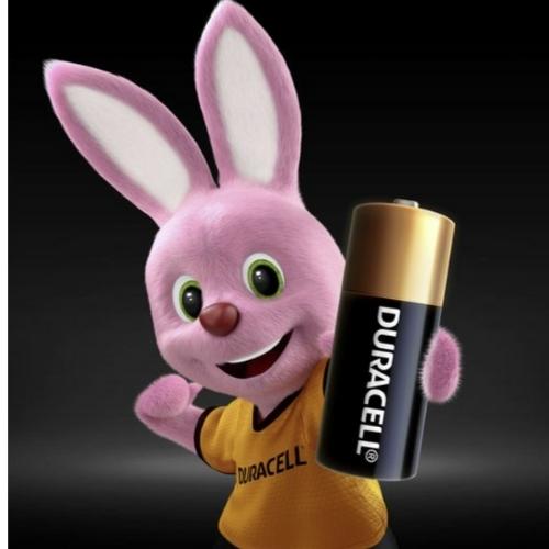 Duracell N MN9100 LR1 Batteries | Pack of 2 freeshipping - Care Monitors UK I Discover The Best Range of Home Healthcare